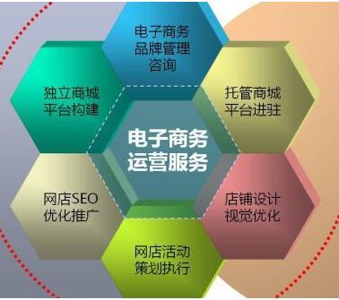 多媒體網(wǎng)絡(luò)的分布式知識要點與電子商務(wù)運營服務(wù)